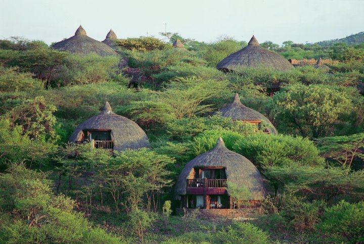 塞伦盖蒂塞丽娜小屋(Serengeti Serena Safari Lodge)