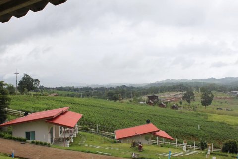 钻石高果度假村(Diamond Khao Kho Resort)