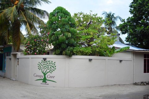 卡诺皮湾旅馆(Canopy Cove Guesthouse)