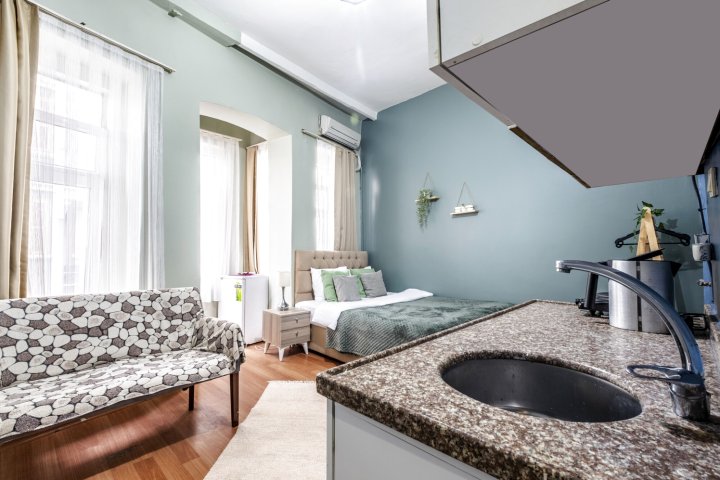 Beyoglu的舒适中心公寓(Cozy and Central Studio Flat in Beyoglu)