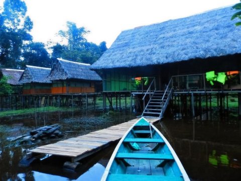 亚马逊生态旅游小屋(Amazon Eco Tours & Lodge)