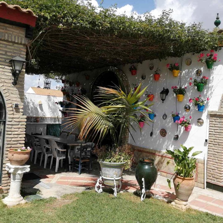 Spectacular Rural House 25 Km from Seville