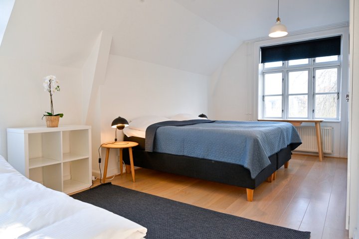 菲特列斯堡精品舒适 3 房复合式公寓酒店 - 近哥本哈根动物园(Super Cozy 3-Bedroom Duplex Apartment in Frederiksberg Close to Copenhagen Zoo)