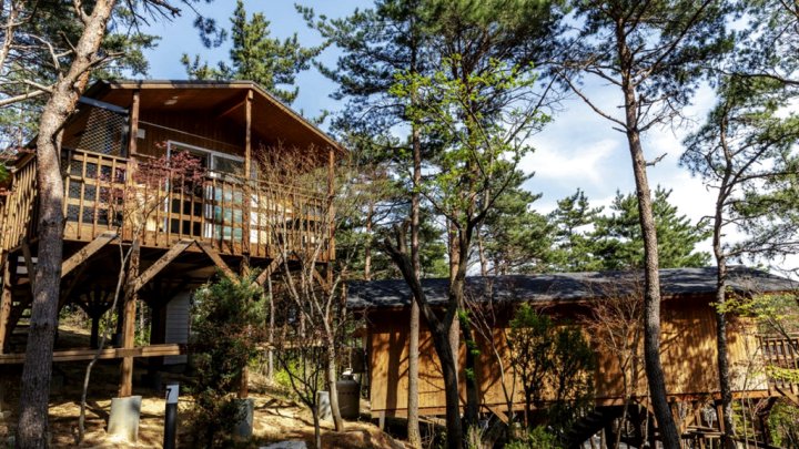 Juseong Resort Pine Forest