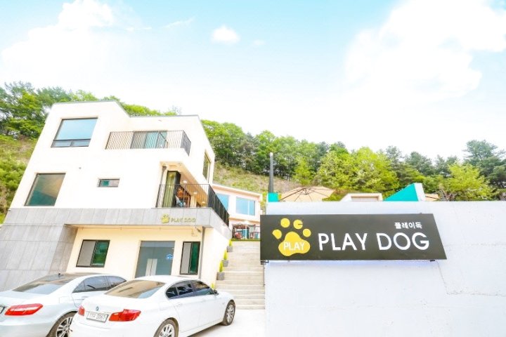 Gapyeong Playdog Pension (with Dog)