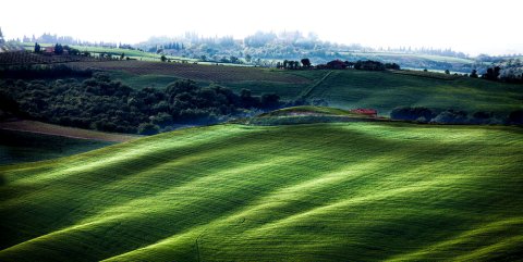 Cortona Village Heights