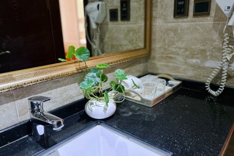 临沧金海棠·东港大酒店