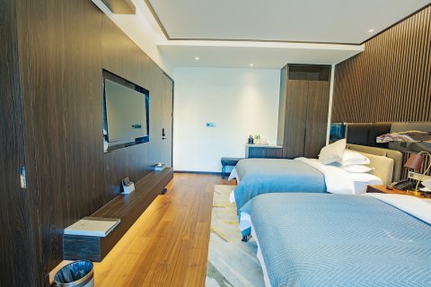 冶力关阿玛周措度假民宿