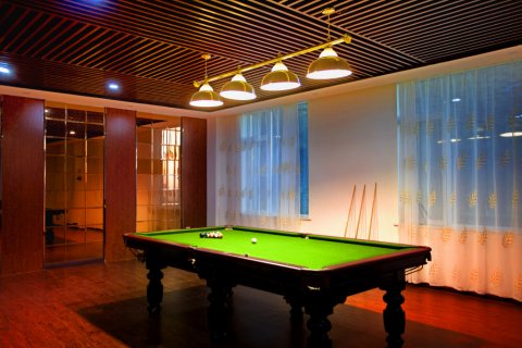 大柴旦雪山温泉度假酒店