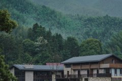 村头芳 · 若谷山房