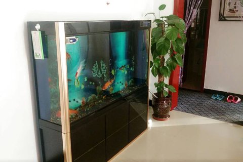 祁县乔家大院醋嫂农家客栈