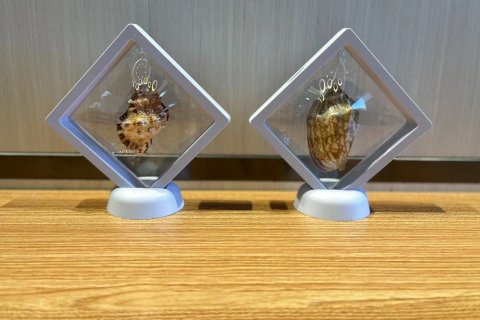 花筑·蓝天酒店(北戴河黄金海岸店)