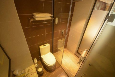 巴马山水碧坡苑酒店