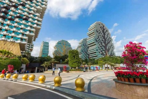 大树度假酒店(三亚美丽之冠店)