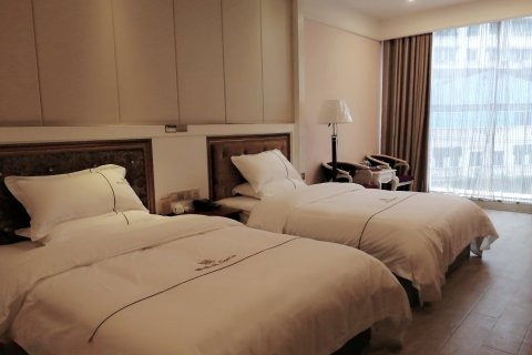 务川索菲亚大酒店