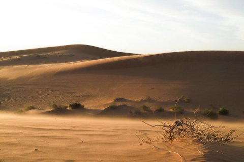 银川浮游国际青年旅舍(新华街鼓楼店)