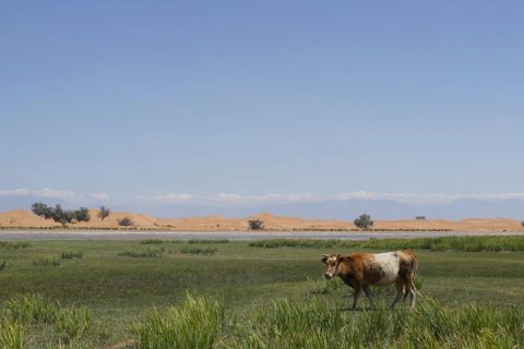 银川浮游国际青年旅舍(新华街鼓楼店)