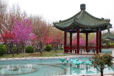 正定国家乒乓球训练基地