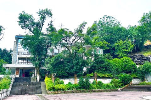 北川辛夷花大酒店