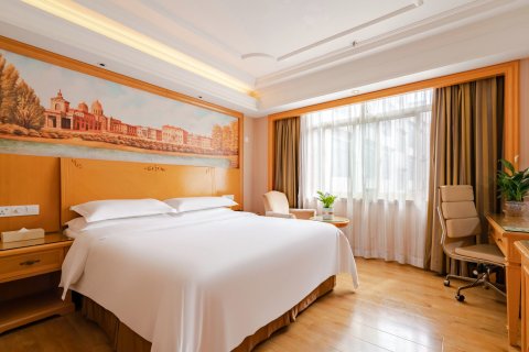 维也纳国际酒店(拉萨大昭寺八廓街店)