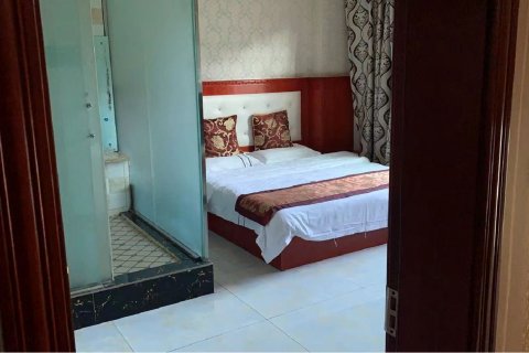 墨江双胞城客栈