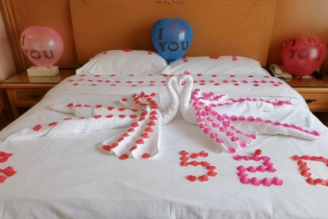 维也纳国际酒店(拉萨大昭寺八廓街店)