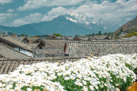 听花堂私人花园客栈(丽江蝶语店)