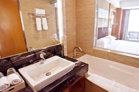 昭通紫光大酒店