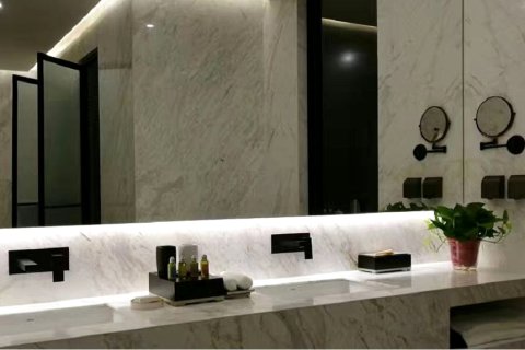 东阿阿胶文化酒店