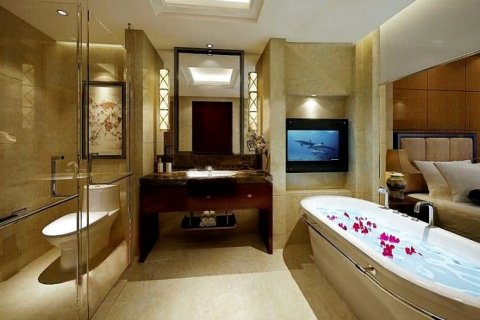 广安玛瑙城国际酒店