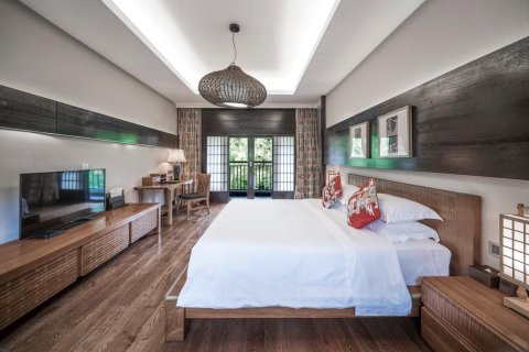 杭州临安湍口众安氡温泉度假酒店