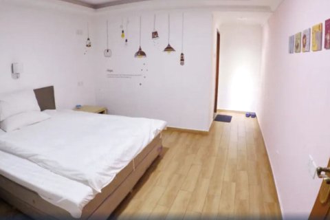 广州春田家家青年旅舍LAZY GAGA