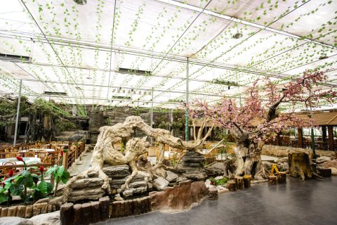 坝上东杉假日酒店