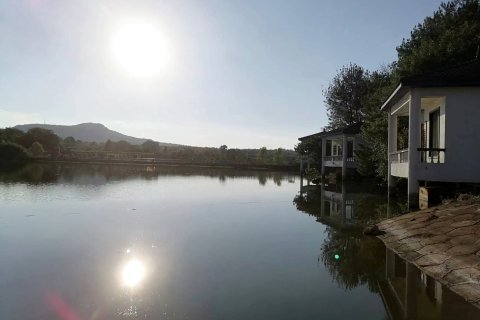 泰和桃源度假村