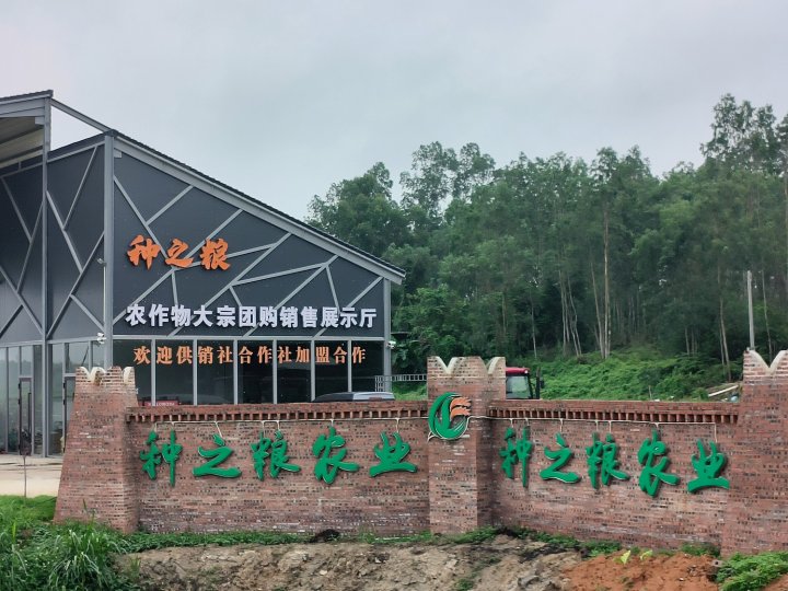 湛江市坡头区种之粮农业农民专业合作社
