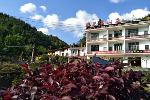 炎陵桃花溪山庄