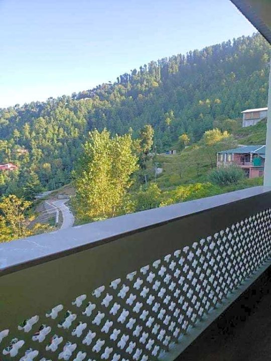 Hotel Mountain View Murree