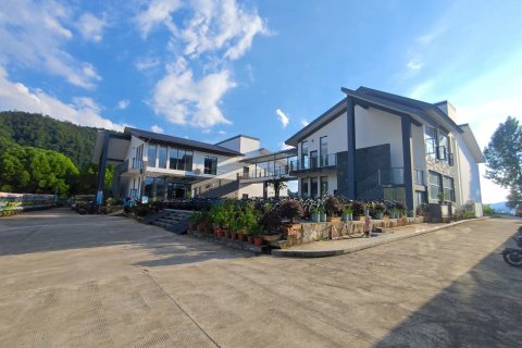 千岛湖半岛露营营地