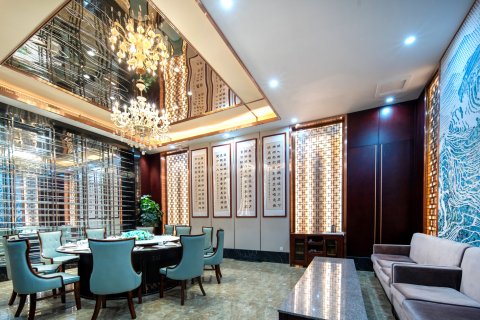 迎君国际酒店(鹿邑县政府明道宫店)