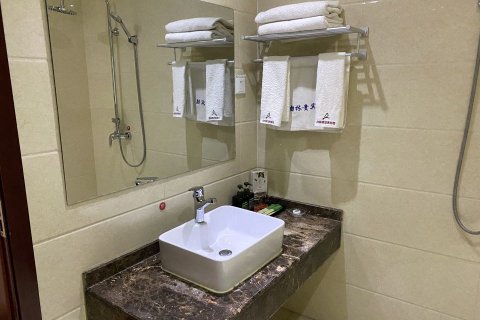 文县白林宾馆贵宾楼