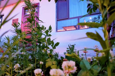 特克斯离宫别院