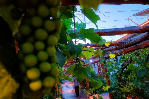 特克斯离宫别院