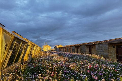 乌兰星宿草原星空客栈(茶卡店)