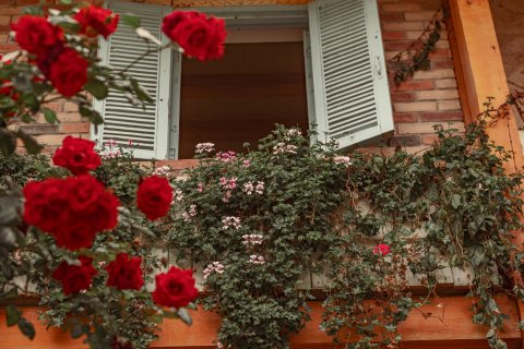 觀心·花半里|Monet Garden inn﻿莫奈花园美宿