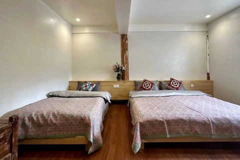 香格里拉懒猫客栈(独克宗古城店)