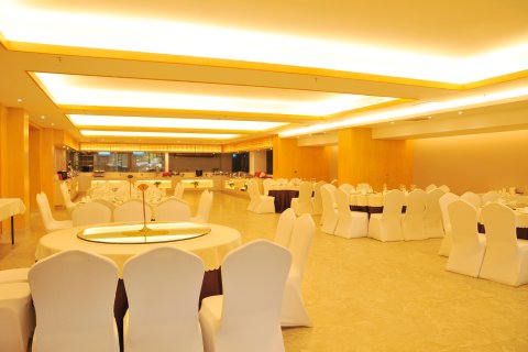 炎陵雄森国际假日酒店