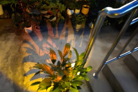 如家精选酒店(杭州汽车西站西溪湿地店)