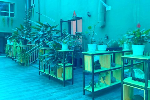 布尔津隆成快捷酒店