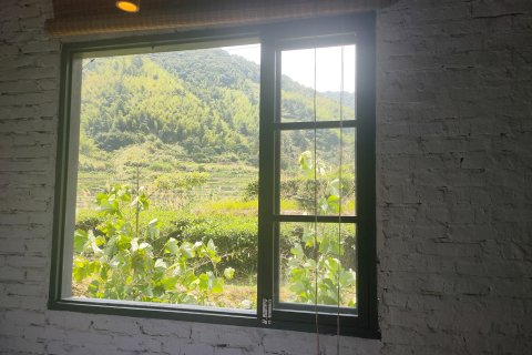 南靖土楼妹和容庄