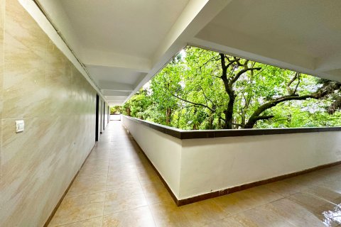 北川辛夷花大酒店